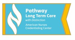 Image of PTE Long Term Care Designated with Distinction Lapel Pin